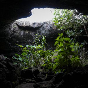 Half Day Tour Privado: Refugios Ancestrales Volcánicos