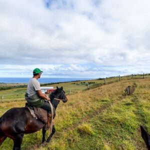 Terevaka: HorseBack Riding to the Hightest Point